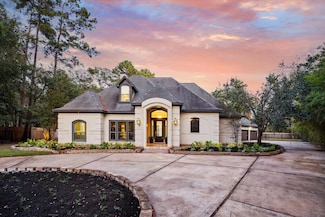 19 Grogans Point Ct, Spring, TX 77380