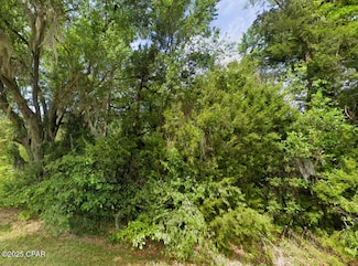 0 Messer Rd, Sneads, FL 32460