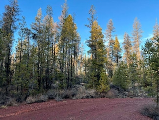 0 Deacon Unit 16 220175263, Chiloquin, OR 97624