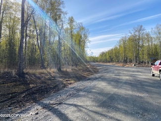 21233 S Morel Cir, Talkeetna, AK 99676