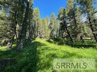 4121 Spruce Dr, Island Park, ID 83429