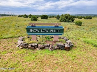 1100 S Lorenzo Sitgreaves Dr, Show Low, AZ 85901