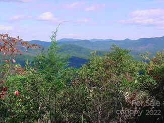 Lot 361 Hickory Nut Ln, Lake Lure, NC 28746