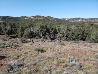 0 Tbd Unit 24020165, Glade Park, CO 81523