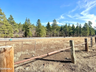12405 Forest Service 772 --, Flagstaff, AZ 86001