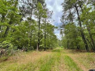 0 Bull Swamp Rd Unit 21657919, North, SC 29112