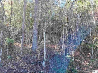00 Cc Camp Rd, Chatham, LA 71226