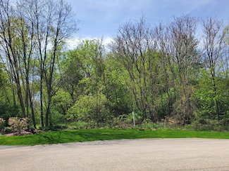 16149 Scenic Ct, Wadsworth, IL 60083