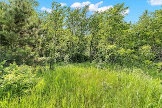 Lot 18 Chokecherry Ln, Amherst, WI 54406
