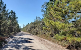 0 Brown Rd Unit 123984, Lee, FL 32059