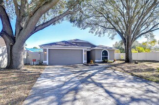 1732 Tinker Dr, Lutz, FL 33559