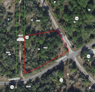 11976 W Flaxen Dr, Crystal River, FL 34428