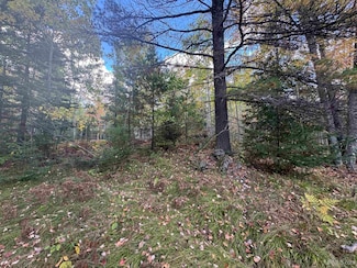 10 ac Paint River Rd, Crystal Falls, MI 49920