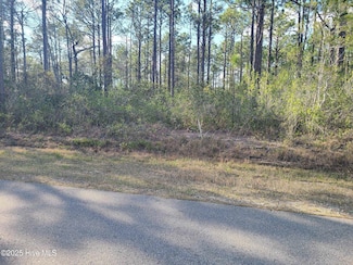 Lot 208 Pepperhill Rd, Boiling Spring Lakes, NC 28461