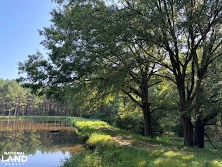 0 County Road 256, Houston, MS 38851
