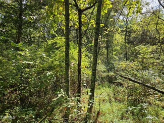 TBD S Highway 70, Rogersville, TN 37857
