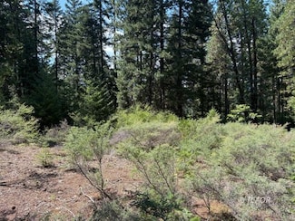 0 Castle Creek Unit 2112775, Shasta Lake, CA 96067