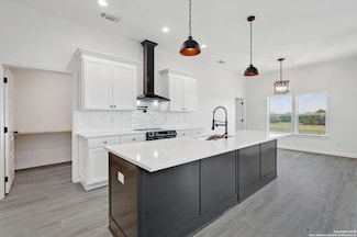 234 Peter Kleid Loop, Blanco, TX 78606