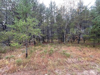 Lot 39 Memory Ln, Beaver Creek Township, MI 48653