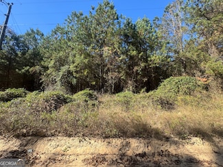 0 Giles Rd, Fort Valley, GA 31030