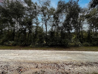 TBD Saint Patrick Dr, Dunnellon, FL 34432