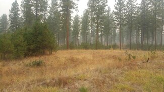 XX Lot 2 Eagle River Way, Kettle Falls, WA 99141