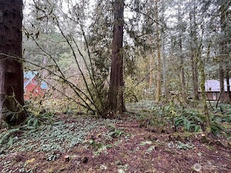 7138 Rainier Way, Glacier, WA 98244