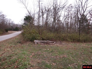 760-11982-000 Maple Ave, Bull Shoals, AR 72619