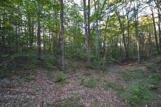 Jo-Ca Lane, Vanderbilt, MI 49795