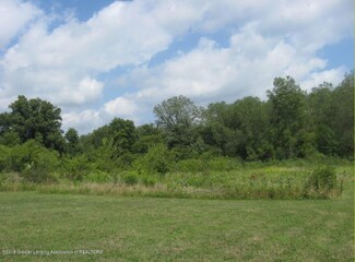 0 Old Pond Trail (Parcel B) Unit 230623, Dimondale, MI 48821