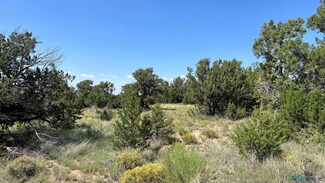 0 W Homestead Rd, Fence Lake, NM 87315