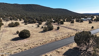 48955 N Anvil Rock Rd, Seligman, AZ 86337