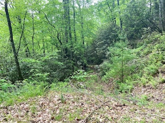 Lot 10 Mystic Forest Way Unit 10, Bryson City, NC 28713