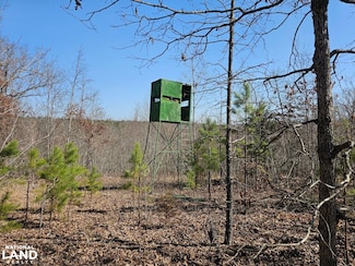 010 Tomahawk Slab Rd, Saint Joe, AR 72675