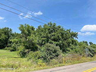 LOT 10 Lake Rd, Briar Creek Township, PA 18603