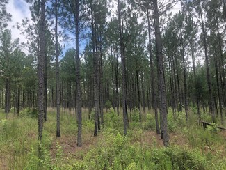 00 Calhoun Trail, Camilla, GA 31730