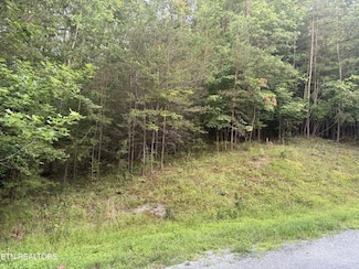 21 Valarian Terrace, Fairfield Glade, TN 38558