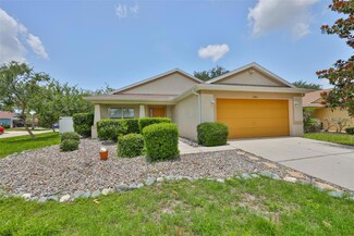 11415 Bright Star Ln, Riverview, FL 33569