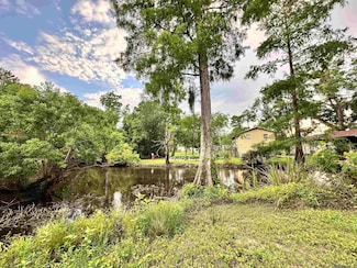 Lot#348,349,350 Dove St, Maurepas, LA 70449