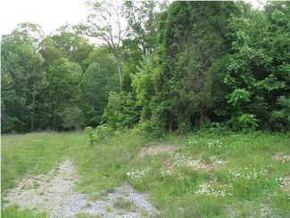 10600 Deer Creek Rd, Cannelton, IN 47520