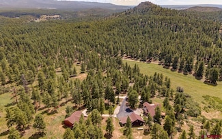 1005 & 46781 Beaver Creek Ranch Dr, Bayfield, CO 81122