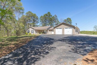 2135 Carter Route D, van Buren, MO 63965