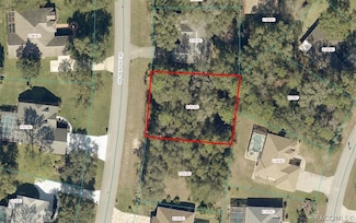 TBD SW 196th Avenue Rd, Dunnellon, FL 34432