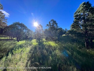 Lot 43 Alto Mesa, Alto, NM 88312