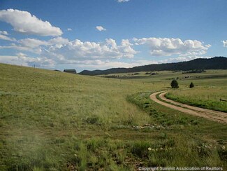 582 Cathy Dr, Hartsel, CO 80449