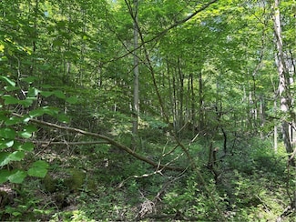 000 Fowl Hill Rd, Melcroft, PA 15462