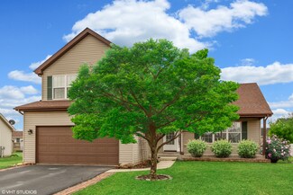 528 Chestnut Ln, Peotone, IL 60468