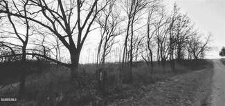 TBD S Beyer Rd, Mt. Carroll, IL 61053