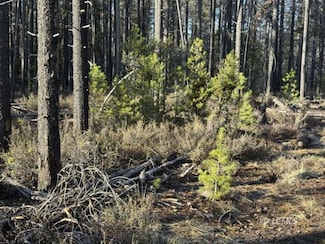 0 Artesian Dr Unit 3007529, Chiloquin, OR 97624