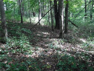 0 Warner Ln Unit 4406790, Cambridge, OH 43725
